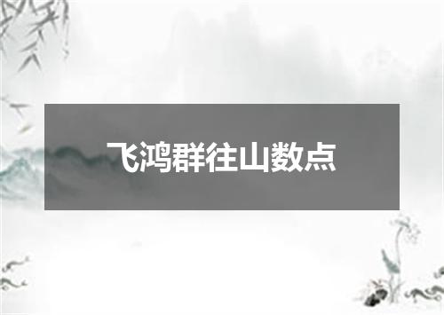 飞鸿群往山数点
