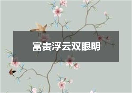富贵浮云双眼明