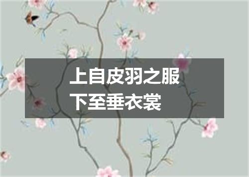 上自皮羽之服下至垂衣裳