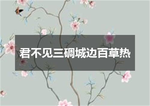 君不见三碉城边百草热