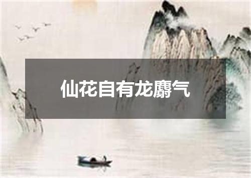 仙花自有龙麝气
