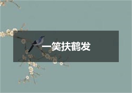 一笑扶鹤发