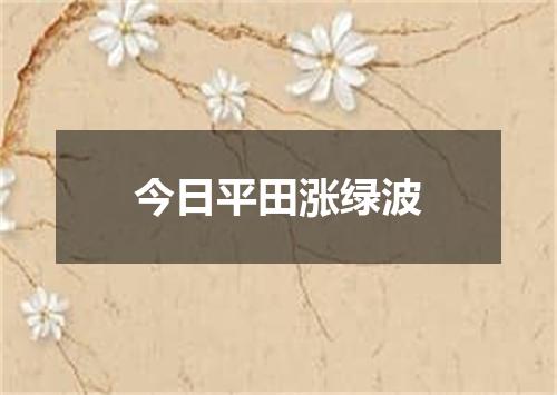 今日平田涨绿波