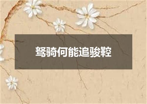 驽骑何能追骏鞚