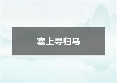 塞上寻归马