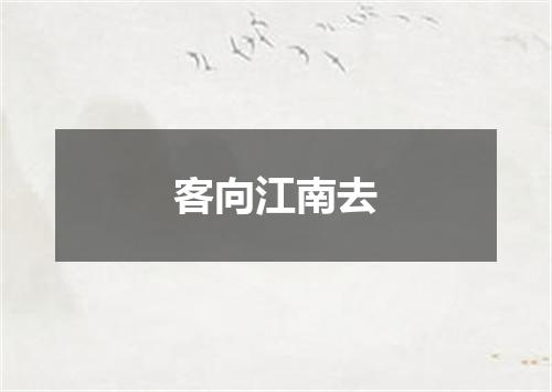 客向江南去