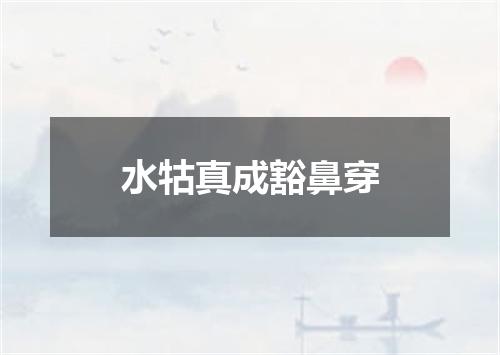 水牯真成豁鼻穿