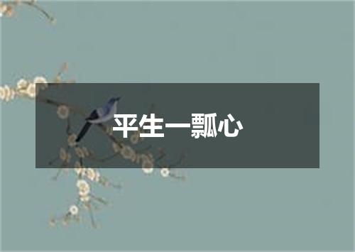 平生一瓢心