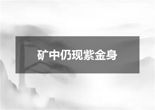 矿中仍现紫金身