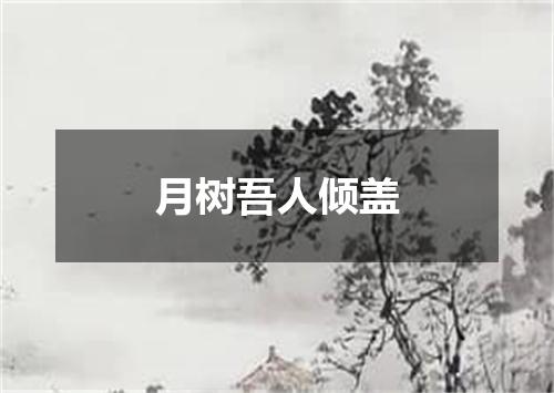 月树吾人倾盖