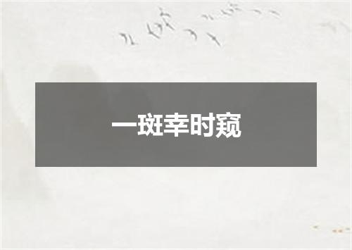 一斑幸时窥
