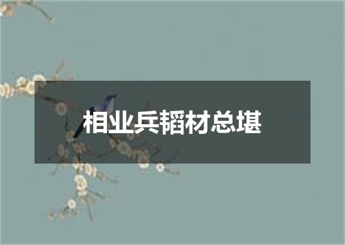 相业兵韬材总堪
