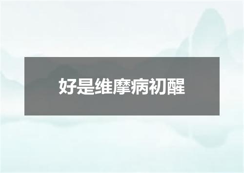 好是维摩病初醒