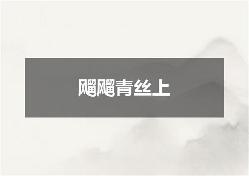 飗飗青丝上