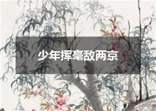 少年挥毫敌两京