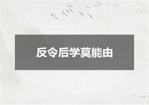 反令后学莫能由