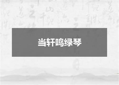 当轩鸣绿琴