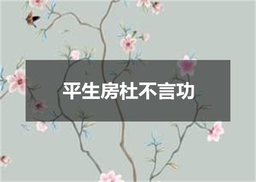 平生房杜不言功