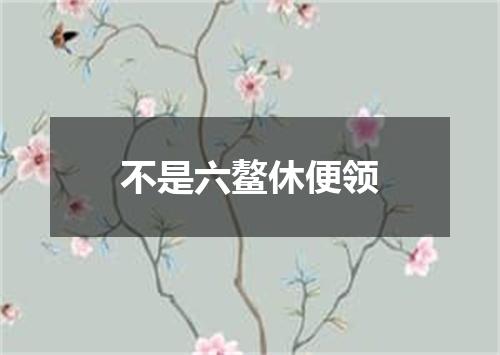 不是六鳌休便领