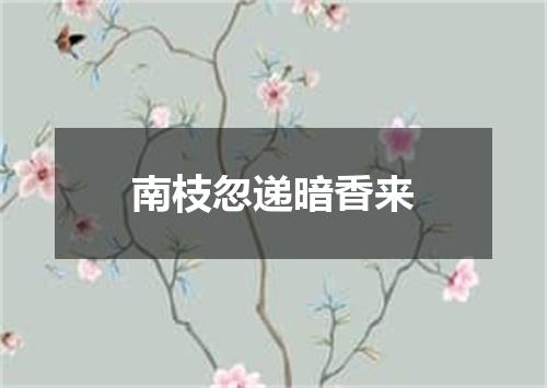 南枝忽递暗香来