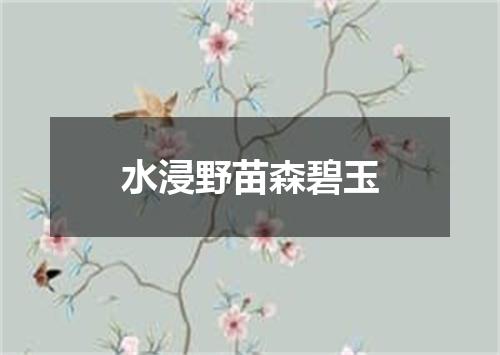 水浸野苗森碧玉