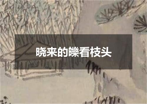 晓来的皪看枝头