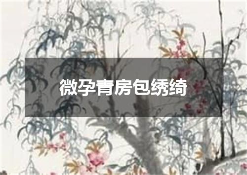 微孕青房包绣绮