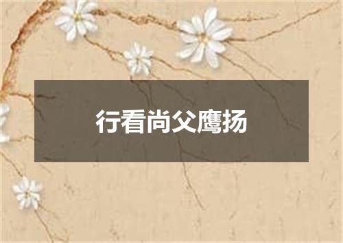 行看尚父鹰扬