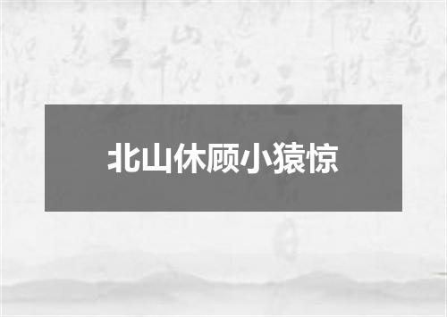 北山休顾小猿惊
