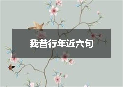 我昔行年近六旬