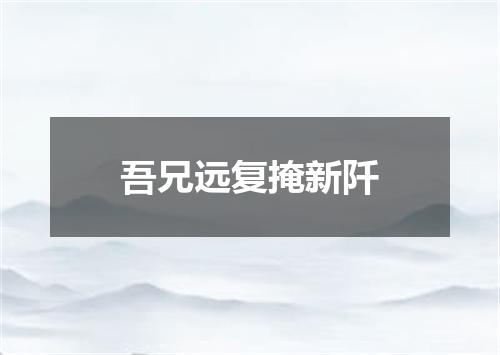 吾兄远复掩新阡