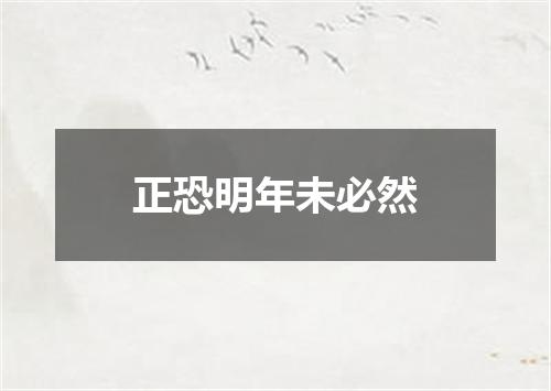 正恐明年未必然
