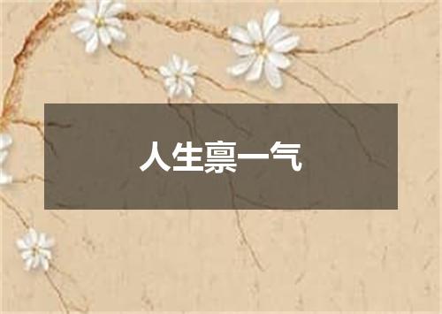 人生禀一气