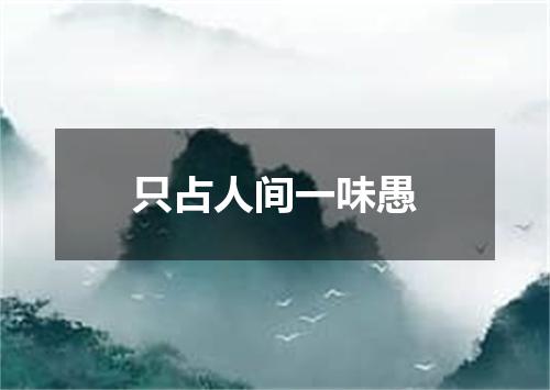 只占人间一味愚