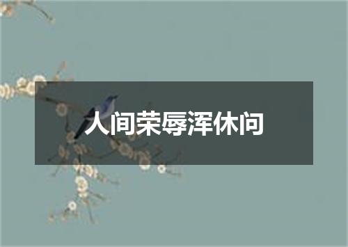 人间荣辱浑休问