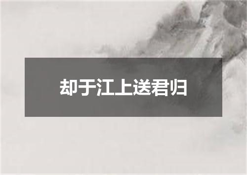 却于江上送君归
