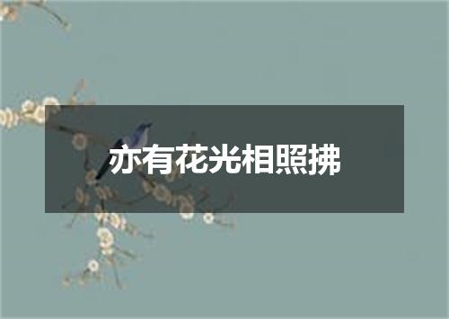 亦有花光相照拂