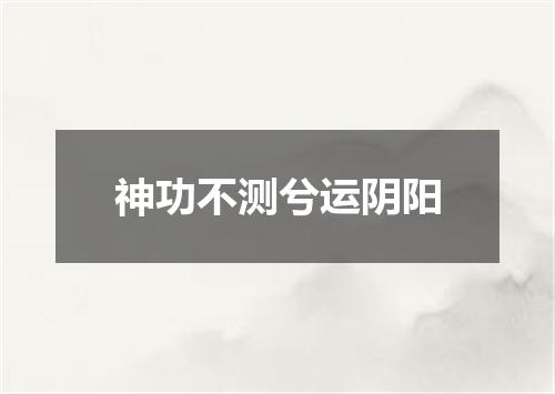 神功不测兮运阴阳
