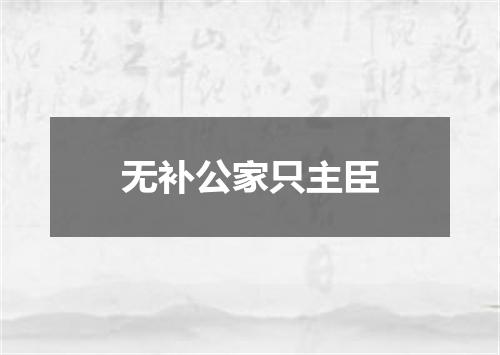 无补公家只主臣