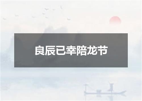 良辰已幸陪龙节