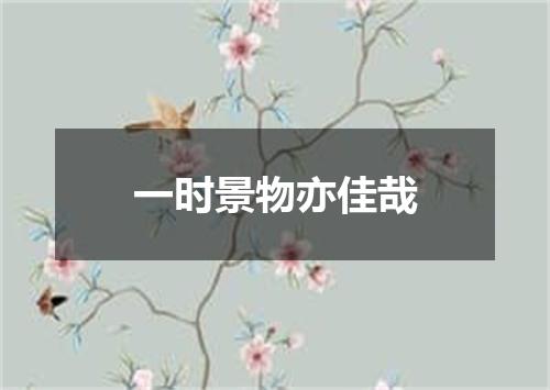 一时景物亦佳哉