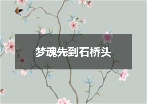 梦魂先到石桥头