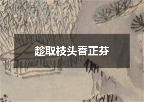 趁取枝头香正芬