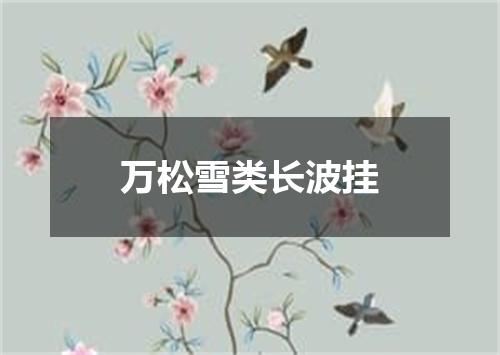 万松雪类长波挂