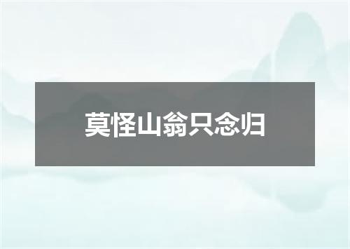 莫怪山翁只念归