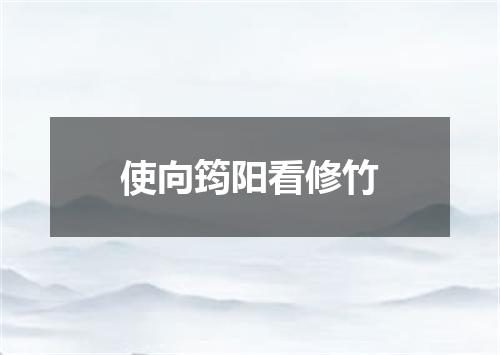使向筠阳看修竹