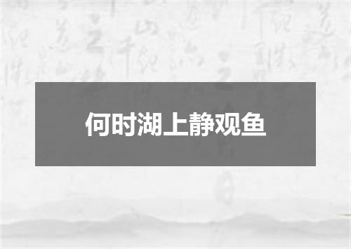 何时湖上静观鱼