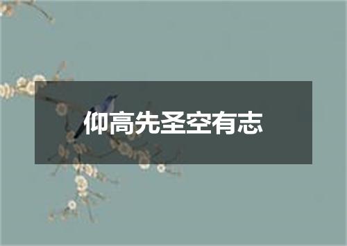 仰高先圣空有志