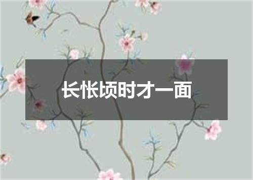 长怅顷时才一面