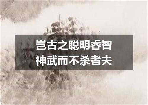 岂古之聪明睿智神武而不杀者夫